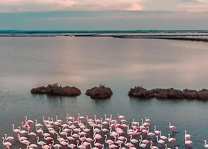 In With Wifi Lejlighed *