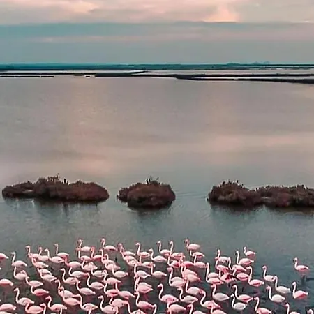 In With Wifi アパート *