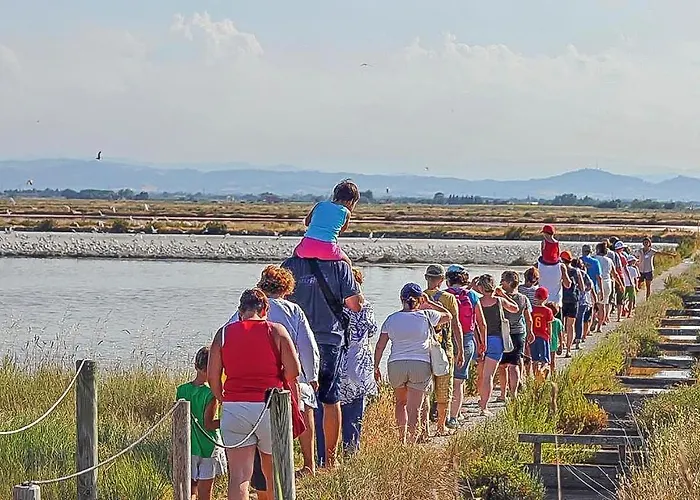 Apartment In With Wifi